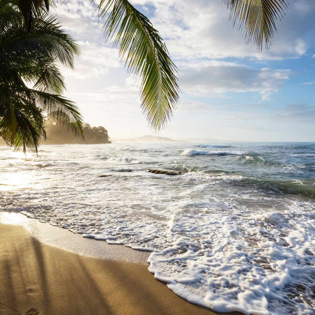 Diseño sin título (3)