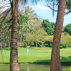 Los Delfines Golf & Country Club: Lugar perfecto para alquilar una Villa de Lujo